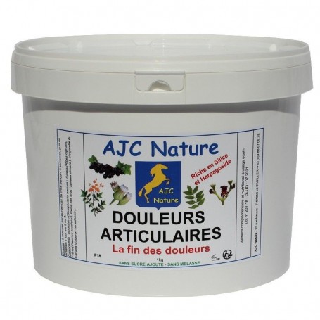 P18 EQUIPAM DOULEURS ARTICULAIRES