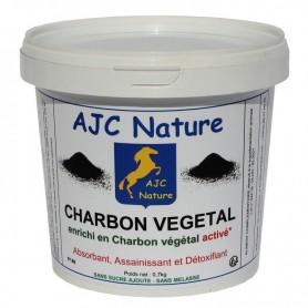 P148 - CHARBON VEGETAL